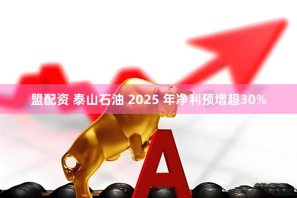 盟配资 泰山石油 2025 年净利预增超30%