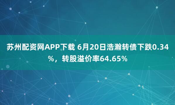 苏州配资网APP下载 6月20日浩瀚转债下跌0.34%，转股溢价率64.65%